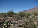 photo thumbnail #2