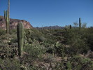 photo thumbnail #3