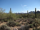 photo thumbnail #5
