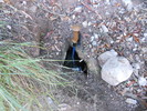 photo thumbnail #8