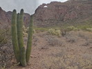 photo thumbnail #4