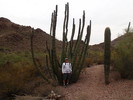 photo thumbnail #15