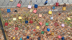 photo thumbnail #3