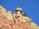 photo thumbnail #6