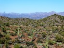 photo thumbnail #7