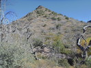 photo thumbnail #4