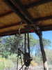 photo thumbnail #7