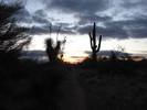 photo thumbnail #1