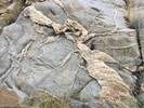 photo thumbnail #14