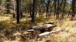 photo thumbnail #9