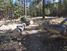 photo thumbnail #2