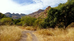 photo thumbnail #7