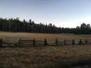 photo thumbnail #13