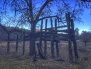 photo thumbnail #8