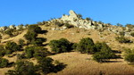 photo thumbnail #10