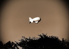 photo thumbnail #12
