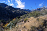 photo thumbnail #3