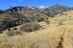 photo thumbnail #6