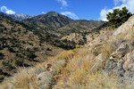 photo thumbnail #7