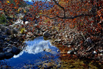 photo thumbnail #14