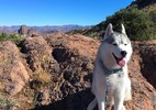 photo thumbnail #1