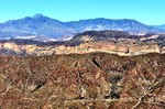 photo thumbnail #4