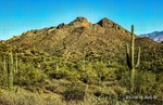 photo thumbnail #7
