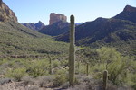 photo thumbnail #3