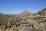 photo thumbnail #9