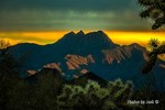 photo thumbnail #9