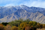 photo thumbnail #3