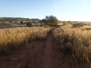 photo thumbnail #6