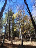 photo thumbnail #11