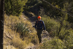 photo thumbnail #6