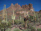 photo thumbnail #5