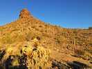 photo thumbnail #2