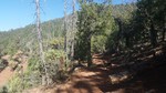 photo thumbnail #5