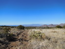 photo thumbnail #9