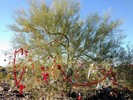 photo thumbnail #7