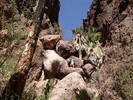 photo thumbnail #4