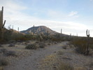 photo thumbnail #1