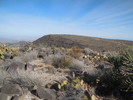 photo thumbnail #8