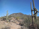 photo thumbnail #9