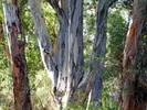 photo thumbnail #3