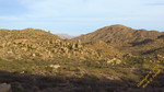 photo thumbnail #8