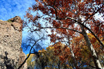photo thumbnail #4