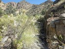 photo thumbnail #6