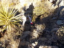 photo thumbnail #12