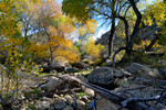 photo thumbnail #3