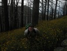 photo thumbnail #15